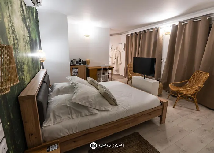 Aracari Villars-les-Dombes