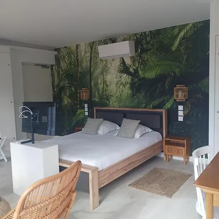 Aracari Villars-les-Dombes