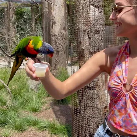 Aracari, Clim, Balneo, Terrasse - Parc Des Oiseaux Hotel Villars-les-Dombes