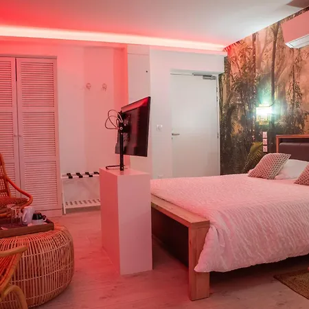 Hotel Aracari, Clim, Balneo, Terrasse - Parc Des Oiseaux 3*